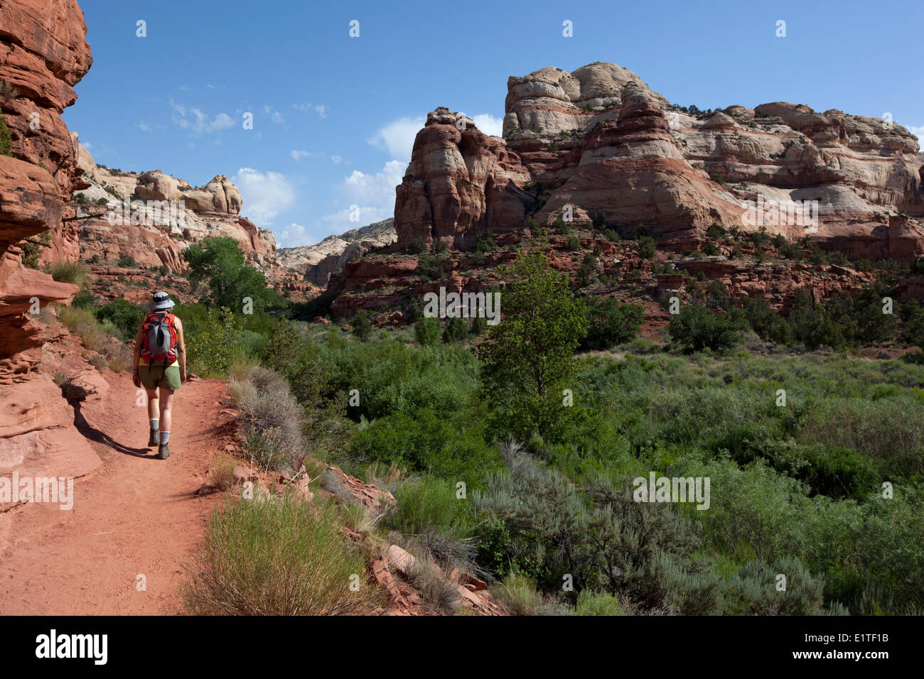 Randonneur sur Calf Creek Falls Trail, de Grand Staircase-Escalante National Monument, Utah, États-Unis d'Amérique Banque D'Images