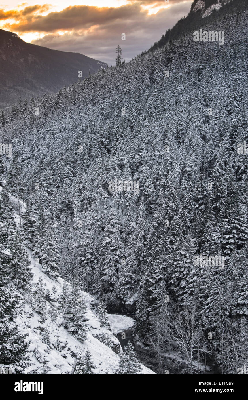 Vue des montagnes et des cours d'eau au lever du soleil en hiver dans la région de Manning Provincial Park, British Columbia, Canada. Banque D'Images