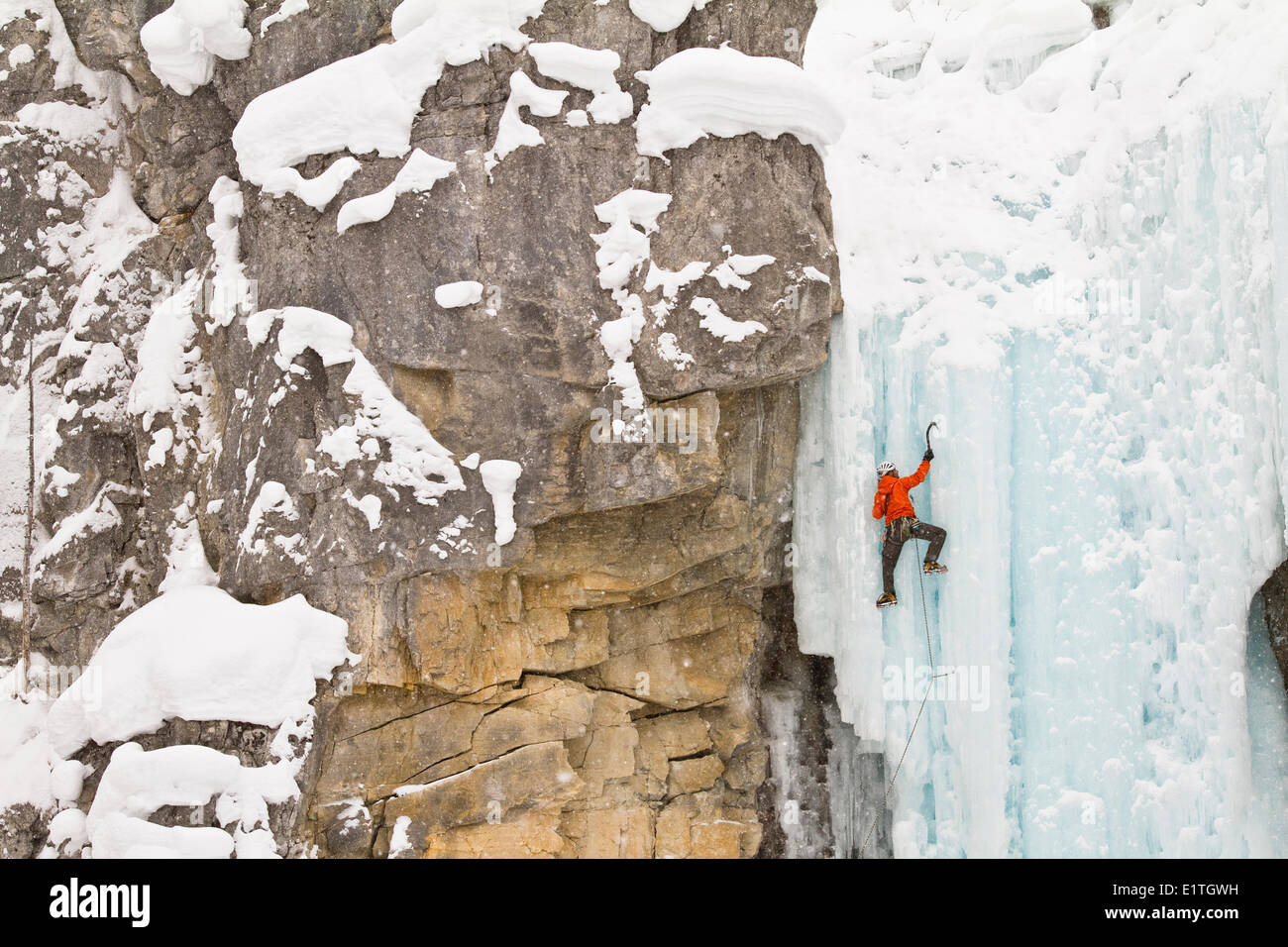 Jeune homme l'escalade sur glace dans le parc national de Banff, près de Banff, Alberta, Canada. Banque D'Images