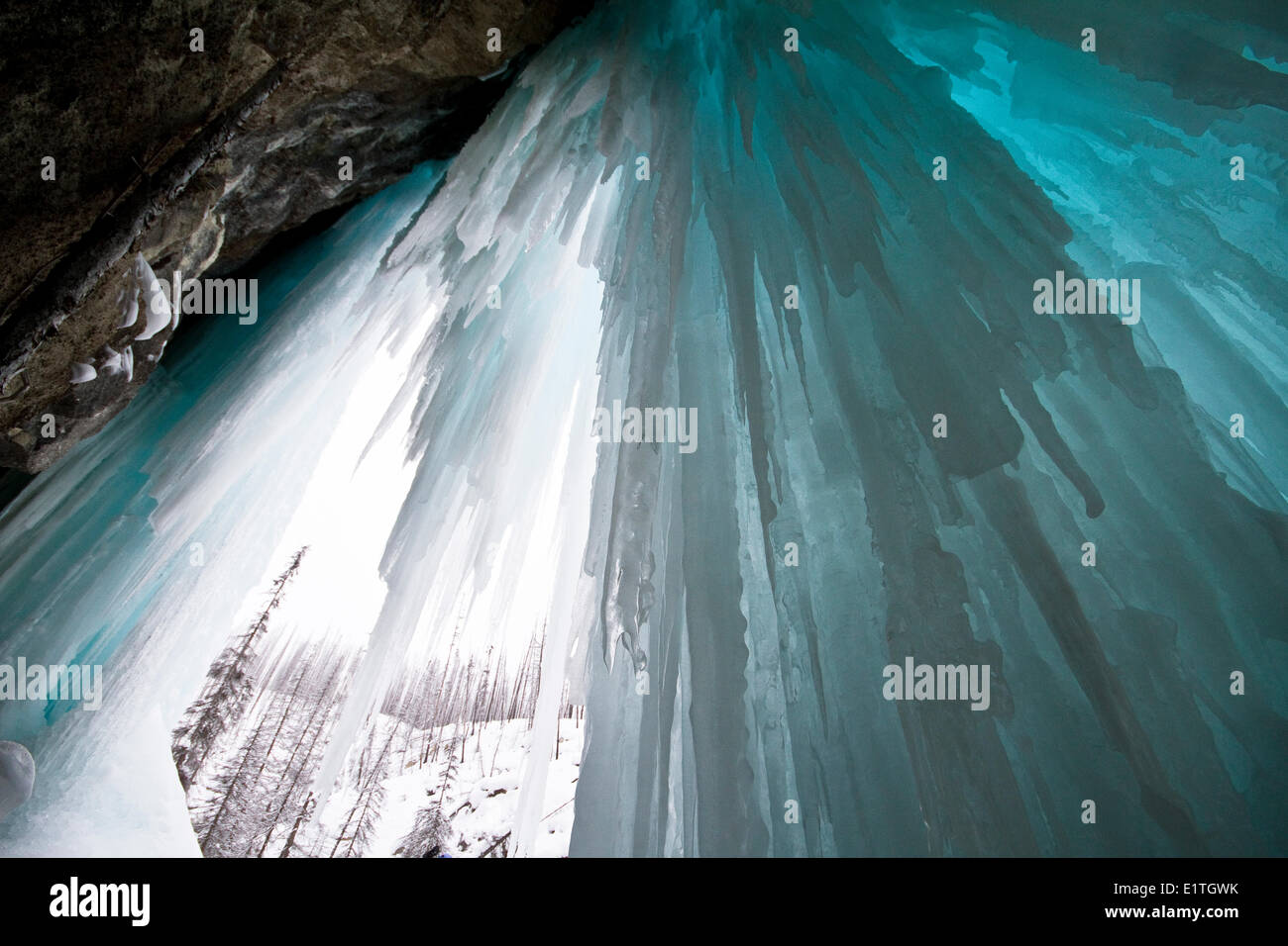 Un mur de glace utilisée pour l'escalade sur glace dans le parc national de Banff, près de Banff, Alberta, Canada. Banque D'Images