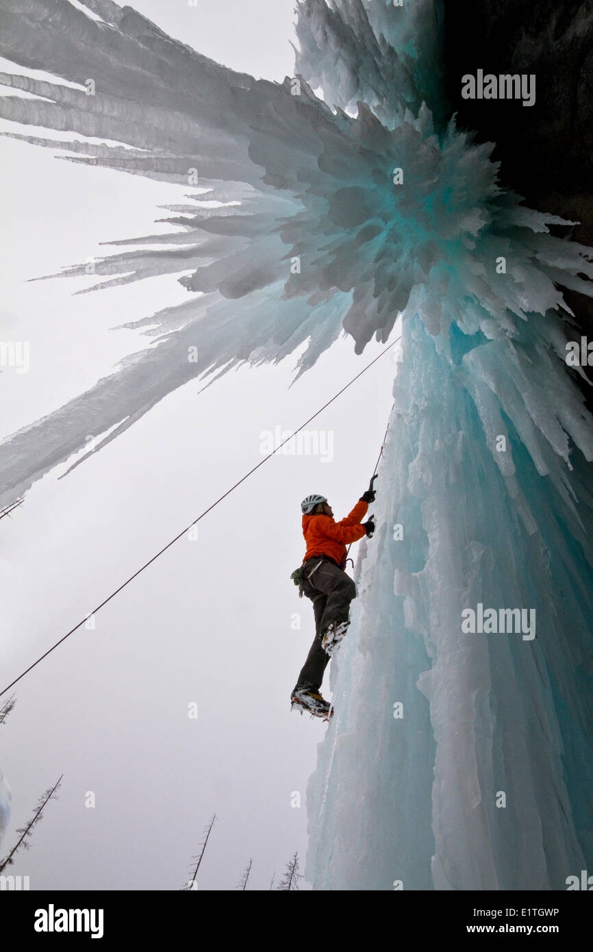 Jeune homme l'escalade sur glace dans le parc national de Banff, près de Banff, Alberta, Canada. Banque D'Images