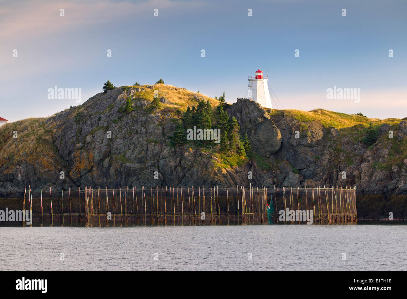 Weir off net Phare Swallowtail, Grand Manan Island, dans la baie de Fundy, Nouveau-Brunswick, Canada Banque D'Images