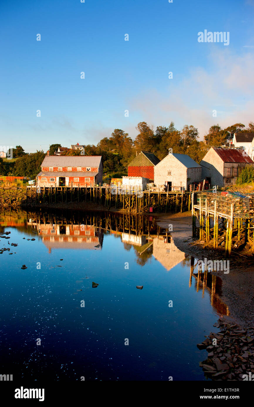 Abri de pêche reflète dans le port à marée basse, Seal Cove, Grand Manan Island, dans la baie de Fundy, Nouveau-Brunswick, Canada Banque D'Images Abri de pêche reflète dans le port à marée basse, Seal Cove, Grand Manan Island, dans la baie de Fundy, Nouveau-Brunswick, Canada Banque D'Images