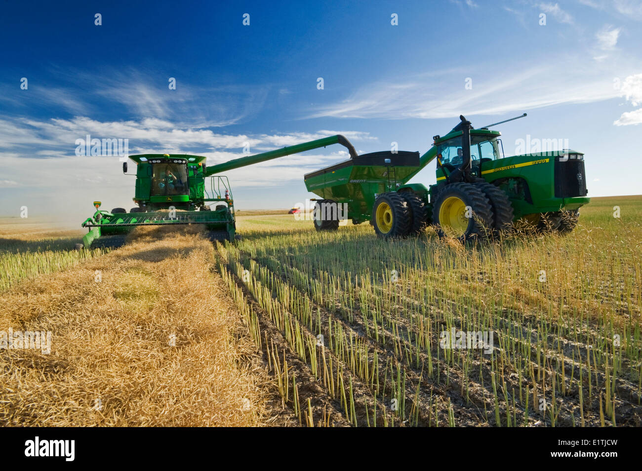 Une moissonneuse-batteuse se jette dans un wagon de grain sur le rendez-vous au cours de la récolte de canola, près de Hodgeville, Saskatchewan, Canada Banque D'Images