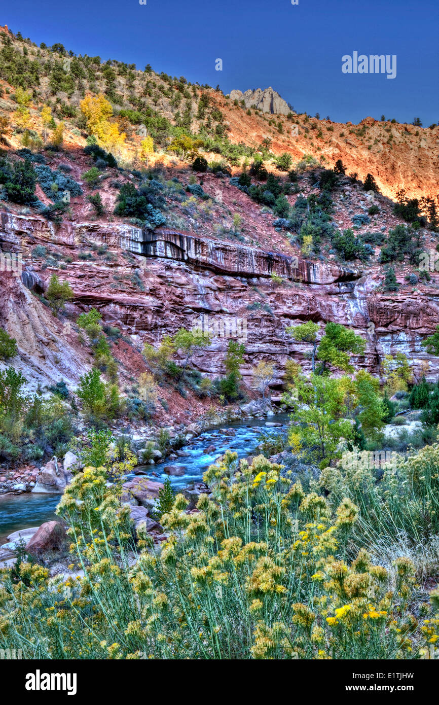 Virgin River North Fork, Zion National Park, Utah, USA Banque D'Images