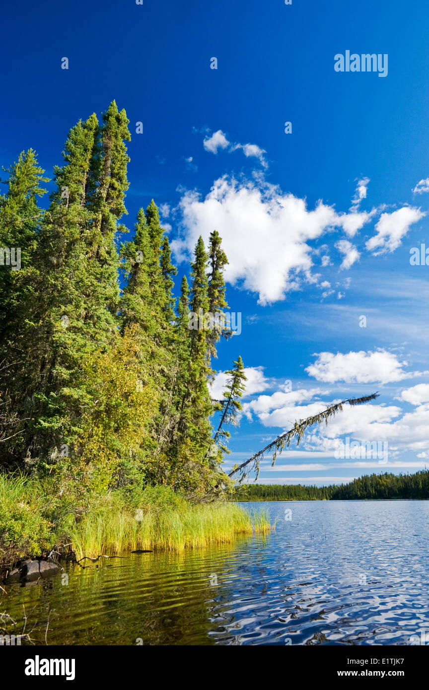 Peu de Deer Lake, le parc provincial de Lac La Ronge, le nord de la Saskatchewan, Canada Banque D'Images