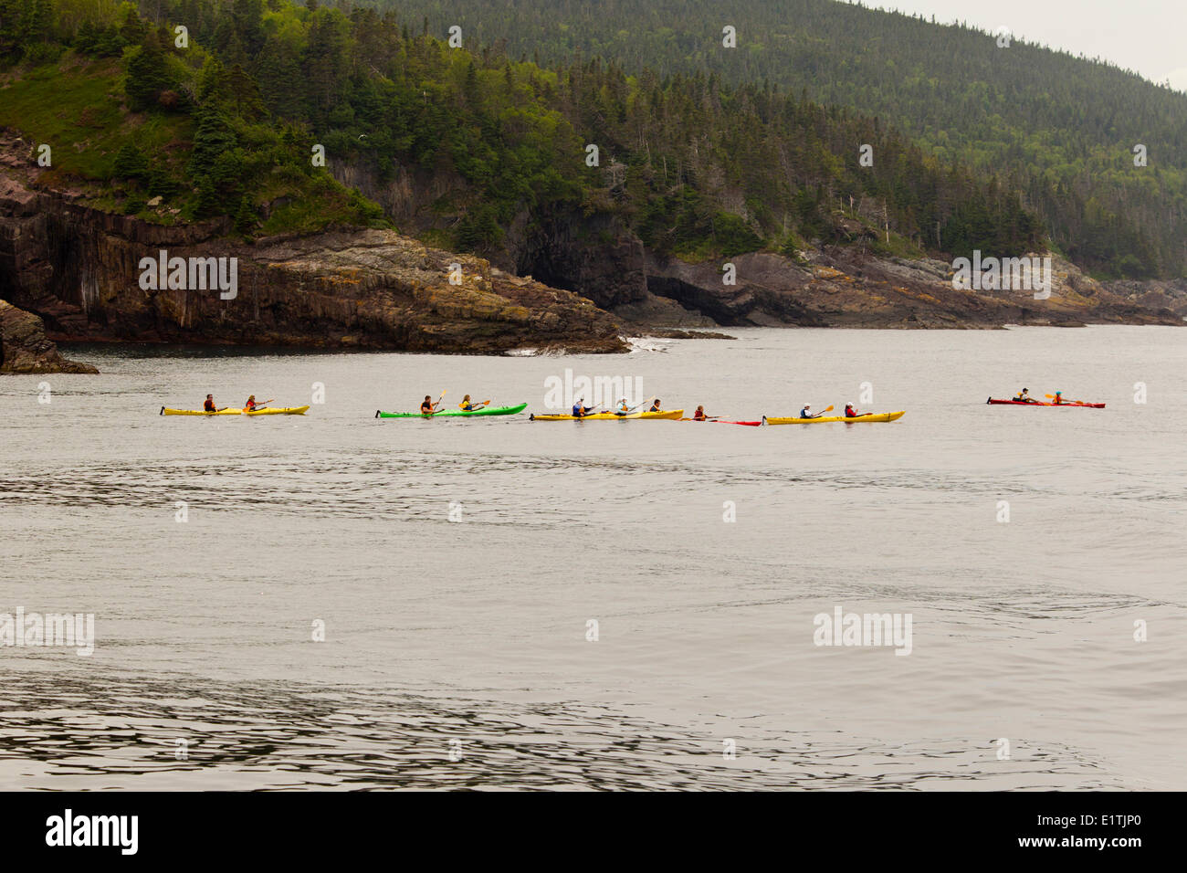 Kayak de mer le long des falaises côtières, la réserve écologique de Witless Bay, Newfoundland, Canada Banque D'Images