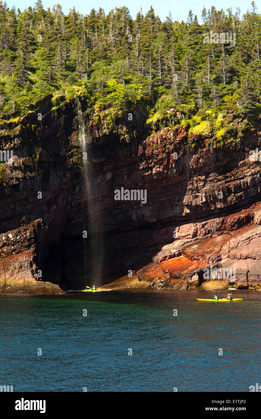 Kayak de mer le long des falaises côtières, la réserve écologique de Witless Bay, Newfoundland, Canada Banque D'Images