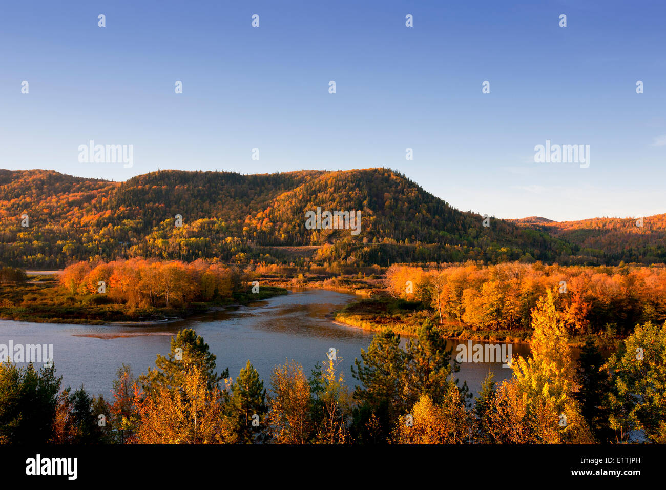 La rivière Restigouche à l'automne, Québec, Canada Banque D'Images