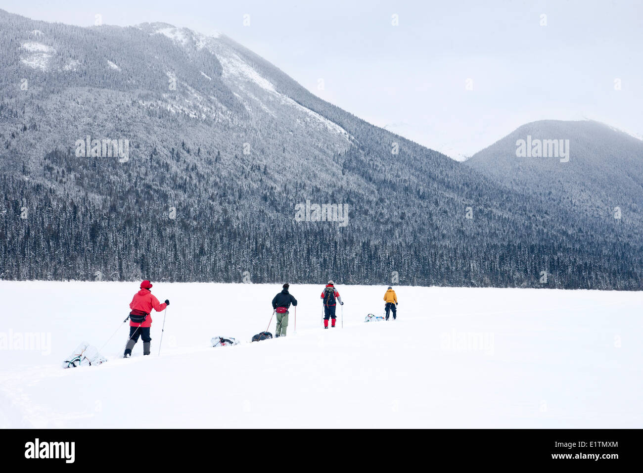 Ski de randonnée, ski de randonnée, le parc du lac Bowron, British Columbia, Canada Banque D'Images
