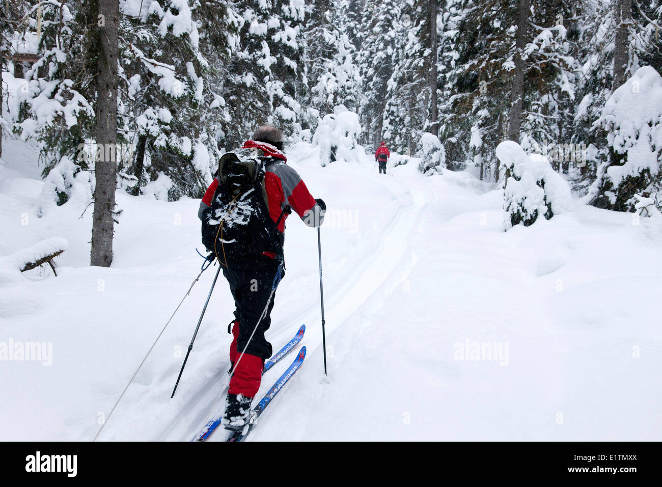 Ski de randonnée, ski de randonnée, le parc du lac Bowron, British Columbia, Canada Banque D'Images