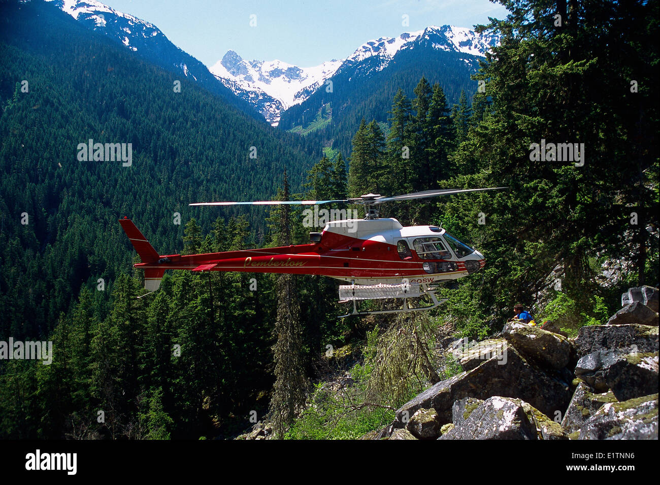 La sortie d'un hélicoptère en vol stationnaire, Billygoat Creek, Pemberton, biologie, étude de la chouette tachetée, BC, Canada Banque D'Images