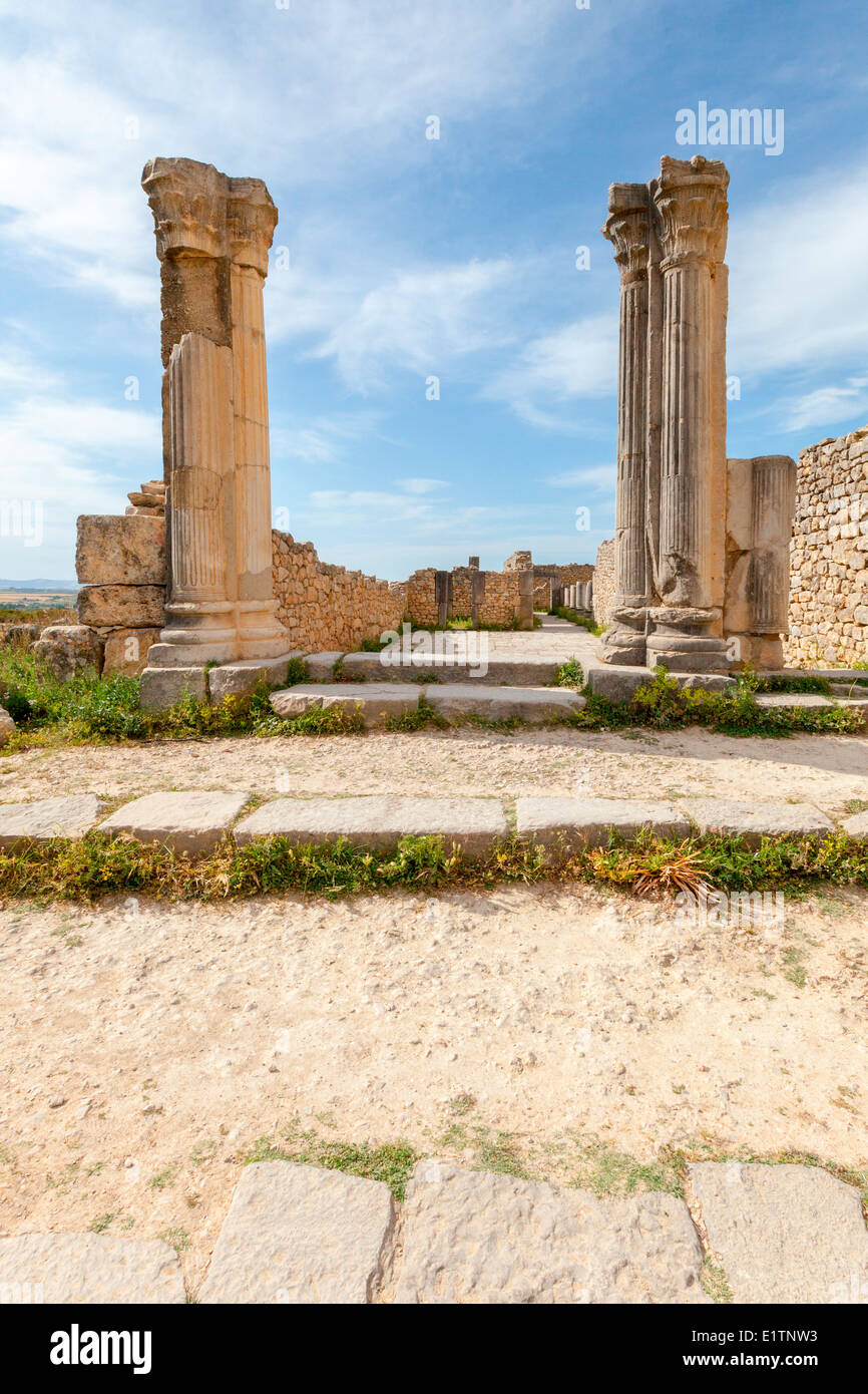 Vue sur les ruines romaines de Volubilis, près de Meknes au Maroc. Banque D'Images