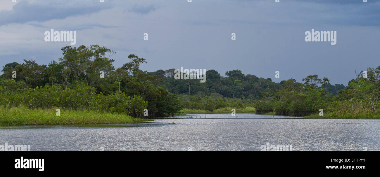 Sani Lodge, Rio Napo, Amazonie, Equateur Banque D'Images
