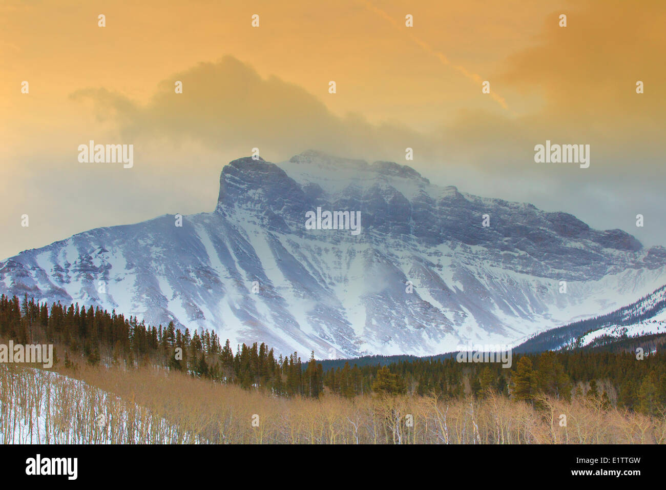 Mont Tecumseh, Crowsnest Pass, Alberta, Canada Banque D'Images