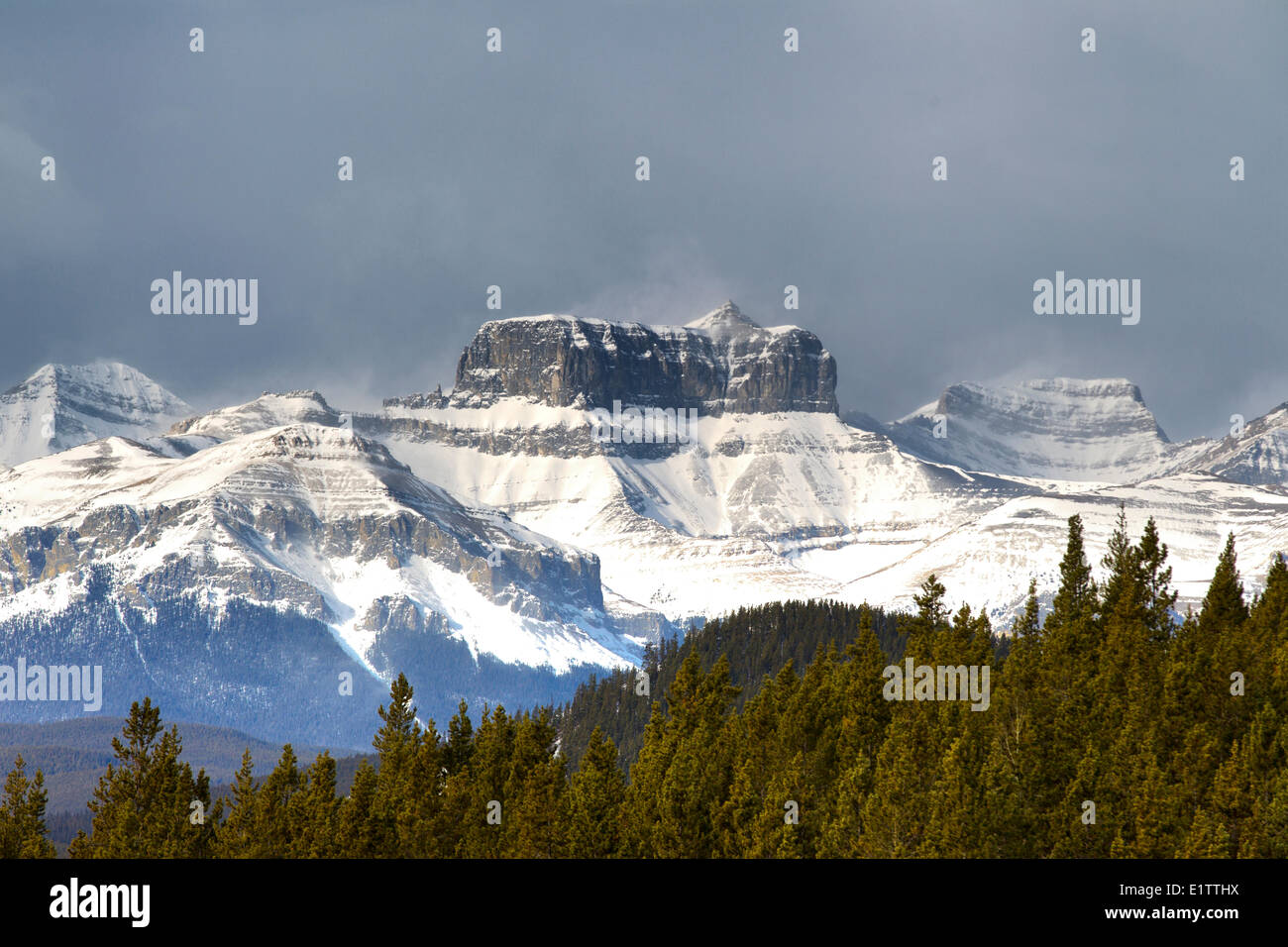 Vallée de la rivière Ghost Forest Trunk Road, Alberta, Canada Banque D'Images