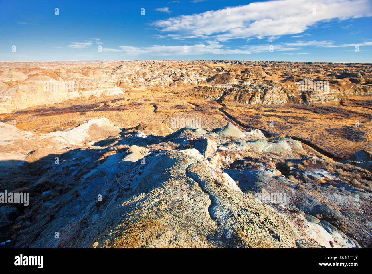 Le parc provincial Dinosaur, UNESCO World Heritage Site, Alberta, Canada Banque D'Images