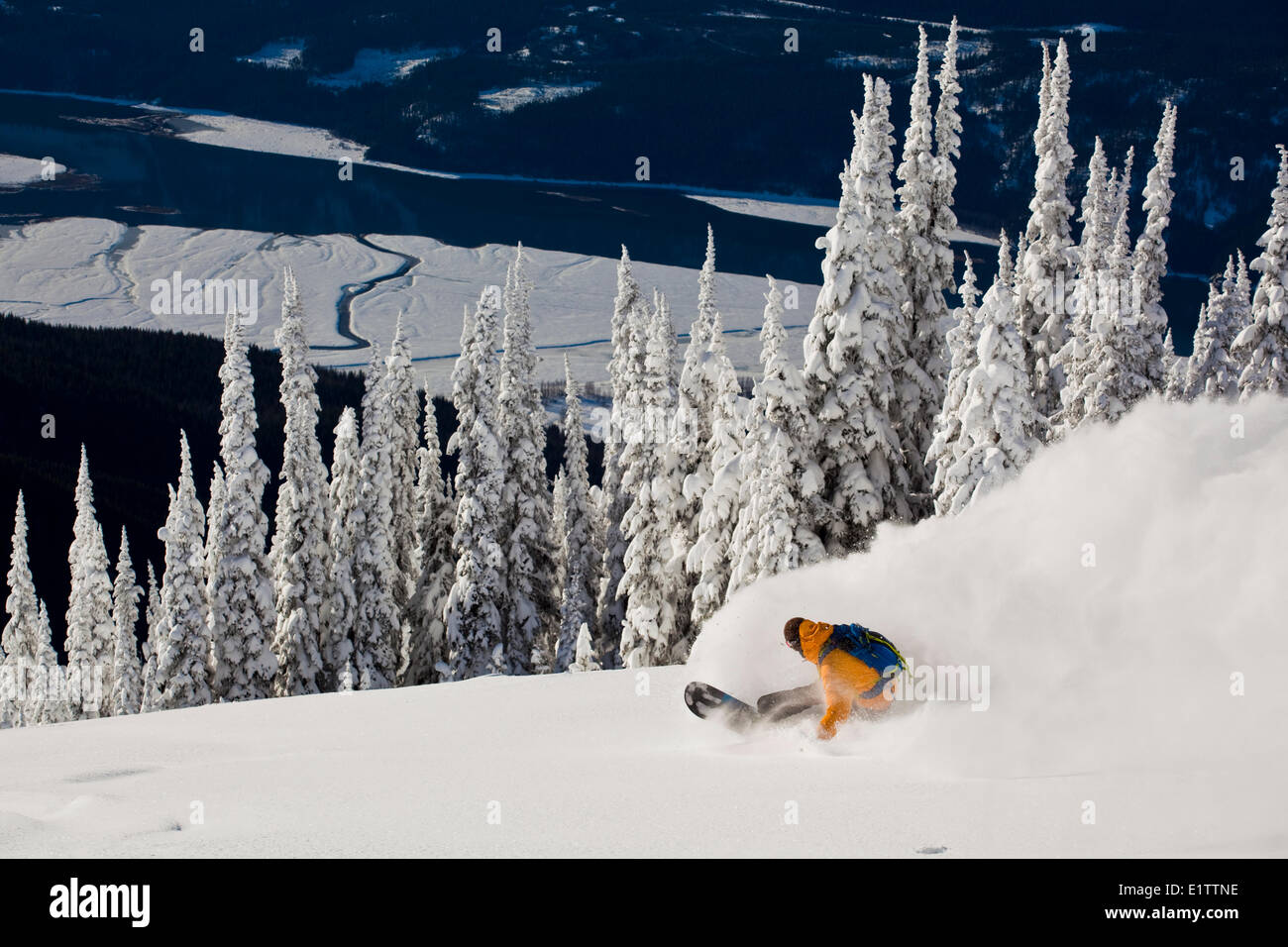 Un homme snowboarder sprays certains profonde poudreuse dans Revelstoke Mountain Resort, Revelstoke, BC Banque D'Images