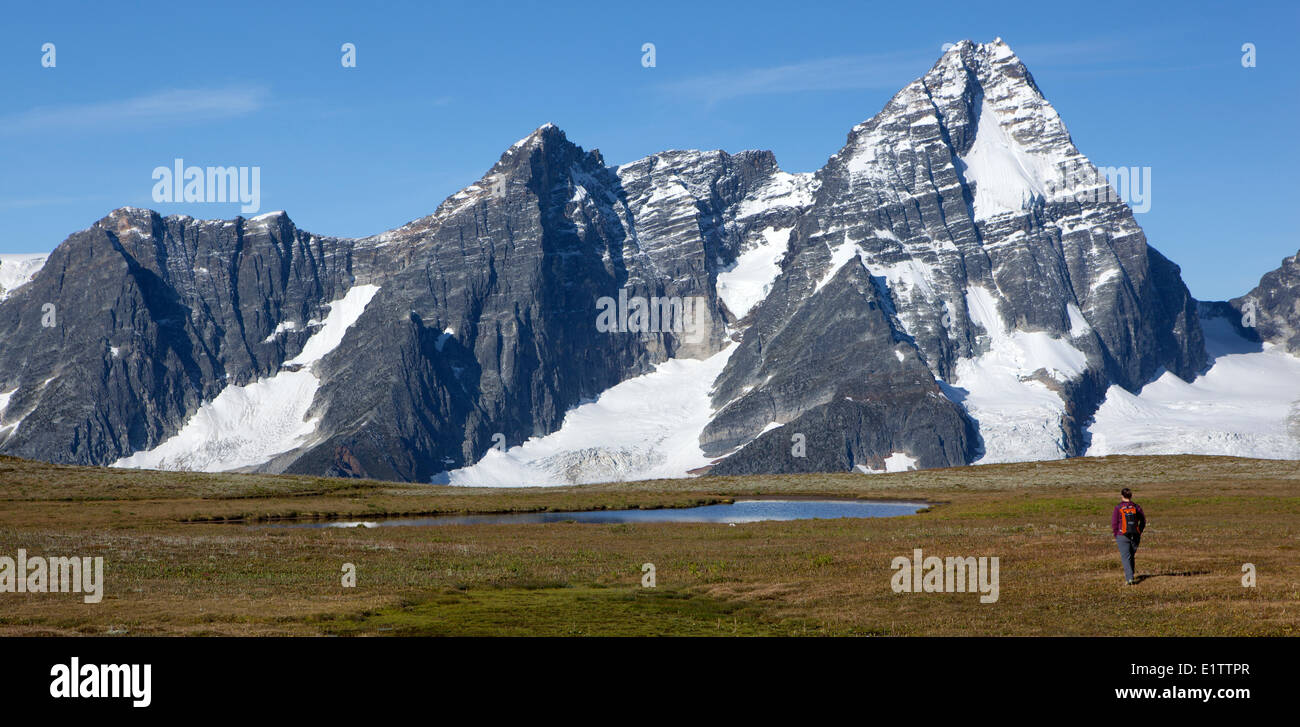 Randonneur, promenades vers alpine tarn et le mont Sir Donald, Glacier National Park, British Columbia, Canada Banque D'Images