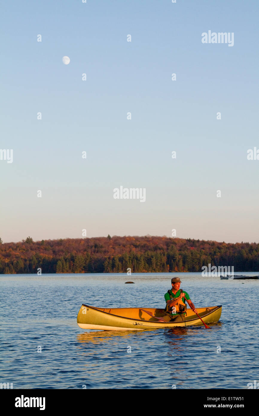 Jeune homme pagaies canoe on Lake Source, parc Algonquin, Ontario, Canada. Banque D'Images