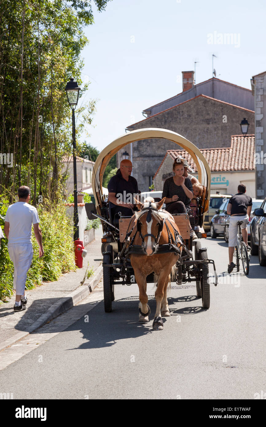 Dans la région Poitou - Charentes, un lecteur pour les touristes clients un chariot typique (France). Attelage hippomobile. Banque D'Images