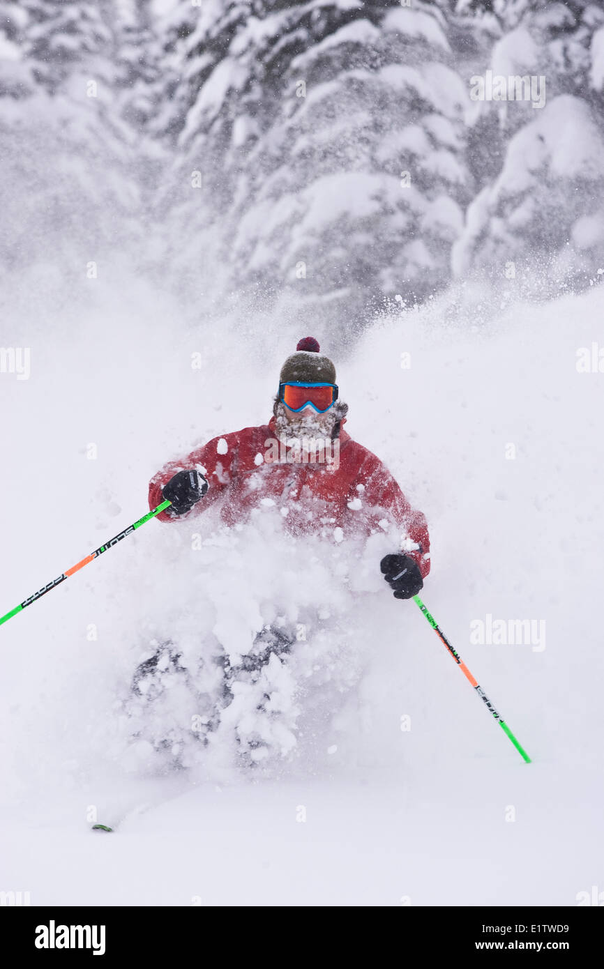 Homme barbu à poudre profonde ski Fernie Alpine Resort, Fernie, BC, Canada. Banque D'Images