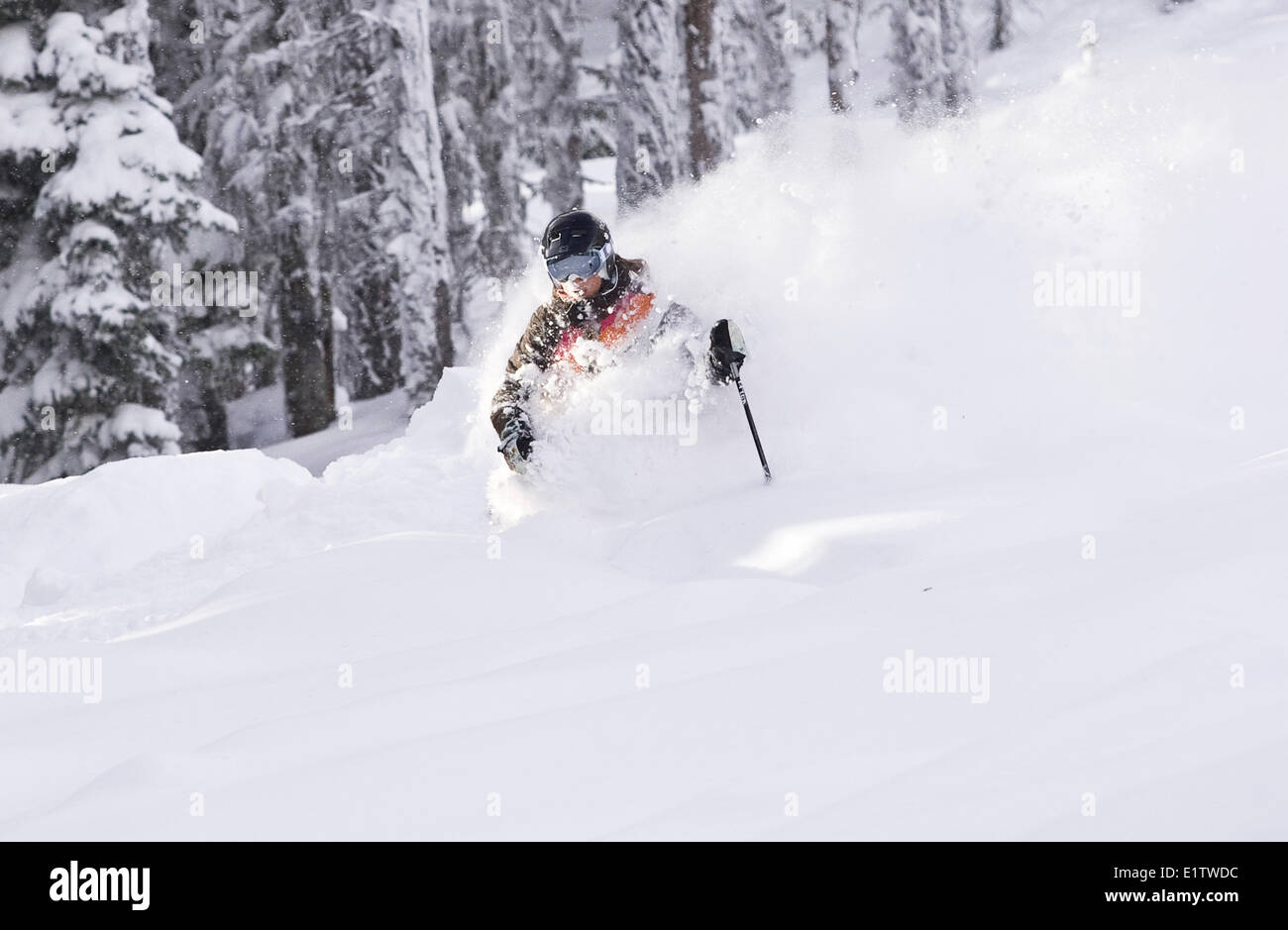 Jeune femme à poudre profonde ski Fernie Alpine Resort, Fernie, BC, Canada. Banque D'Images
