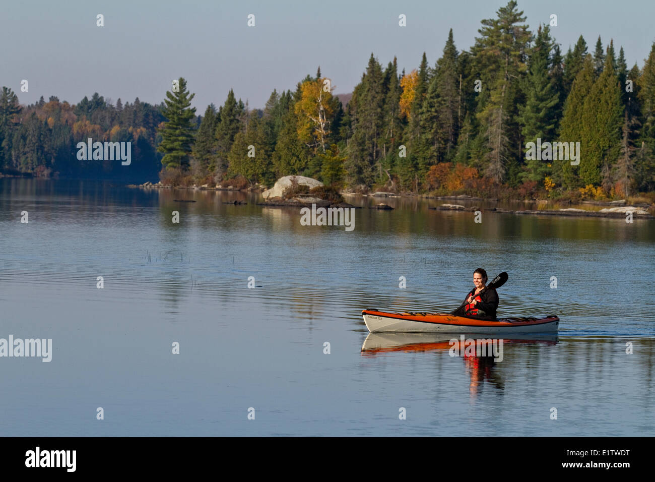 Jeune femme jouit de tôt le matin de la pagaie dans un kayak sur le lac Source, parc Algonquin, Ontario, Canada. Banque D'Images