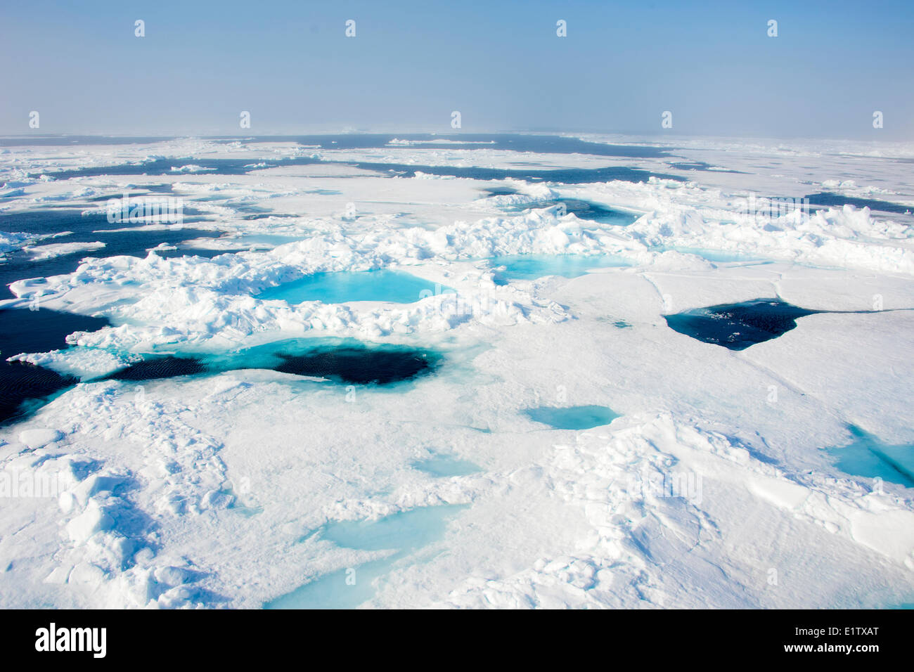 La banquise, archipel du Svalbard, l'Arctique norvégien Banque D'Images La banquise, archipel du Svalbard, l'Arctique norvégien Banque D'Images