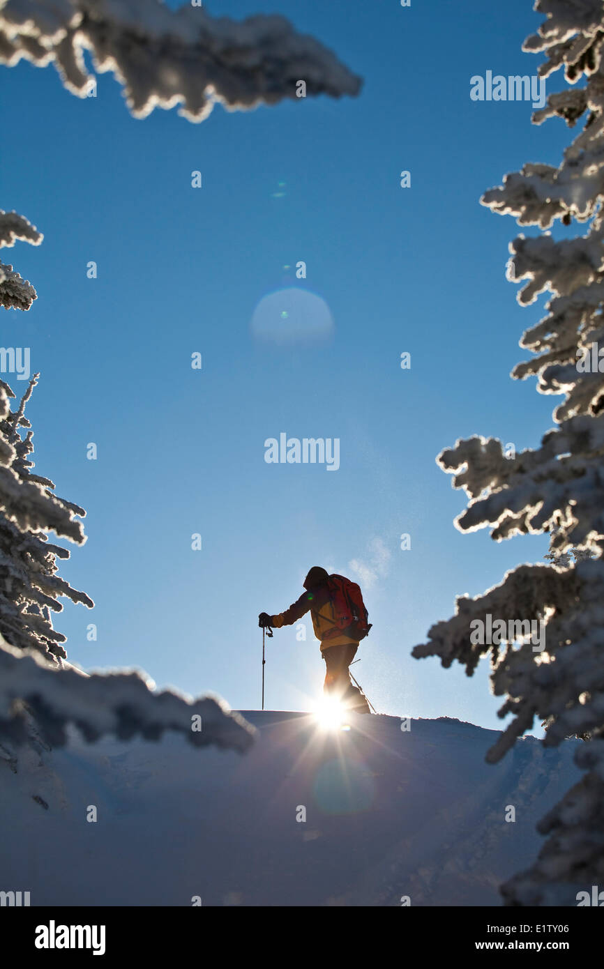 Un homme ski de randonnée au lever du soleil. Sol, l'arrière-pays de montagnes Monashee, Revelstoke, BC Banque D'Images