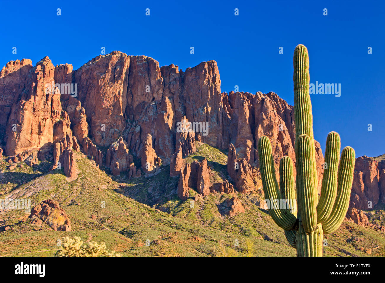 Superstition Mountains, Lost Dutchman State Park, Arizona, USA, 40 miles à l'est de Phoenix Banque D'Images