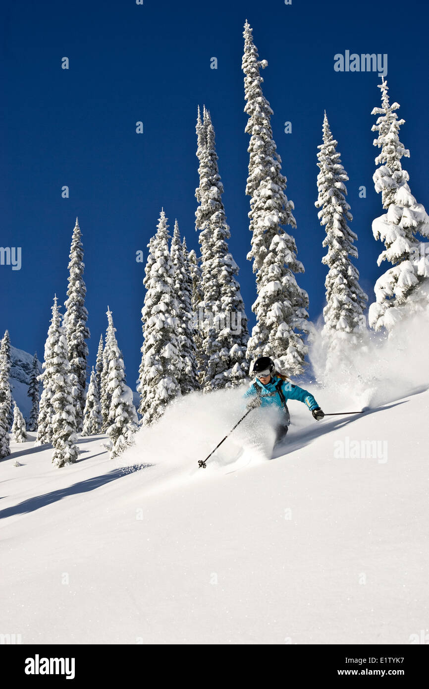 Jeune femme, ski poudreuse à Fernie Alpine Resort, Fernie, BC, Canada. Banque D'Images