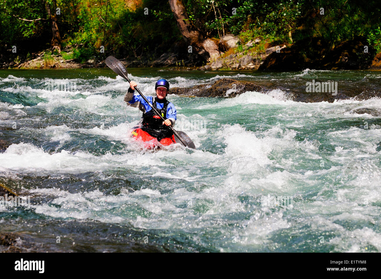 White water kayaker en descendant la rivière Cowichan, près de chutes Skutz près de Lake Cowichan, BC. Banque D'Images