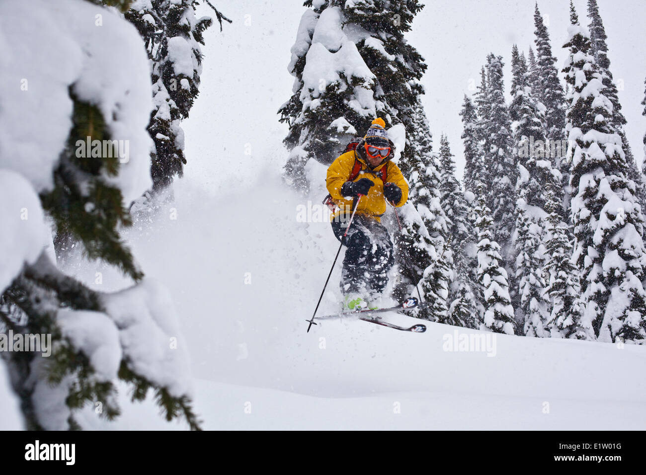 Un homme tout en poudreuse Ski Le ski nordique au sol, l'arrière-pays de montagnes Monashee, Revelstoke, BC Banque D'Images