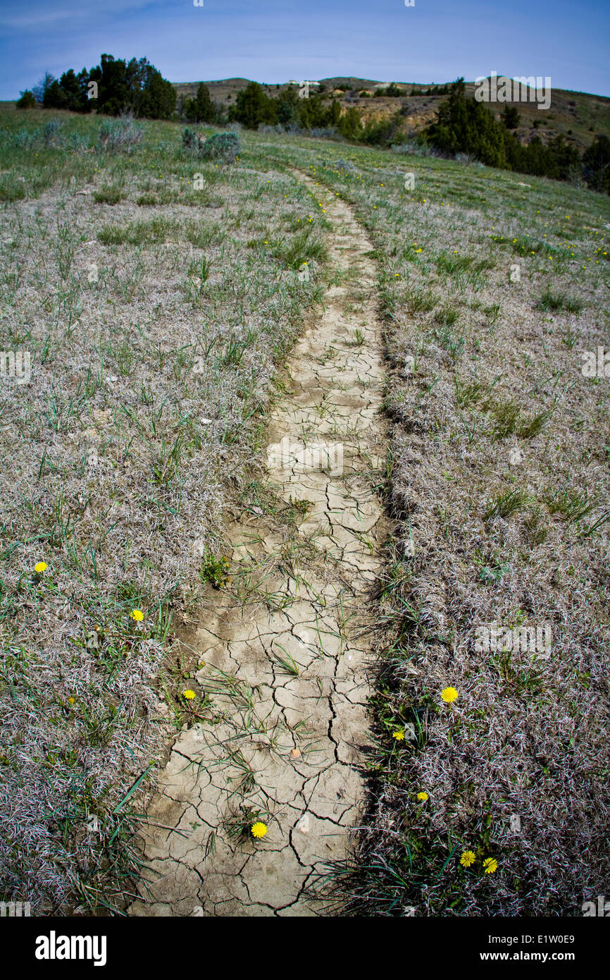 Maah Taah Hé Trail, Dakota du Nord Banque D'Images