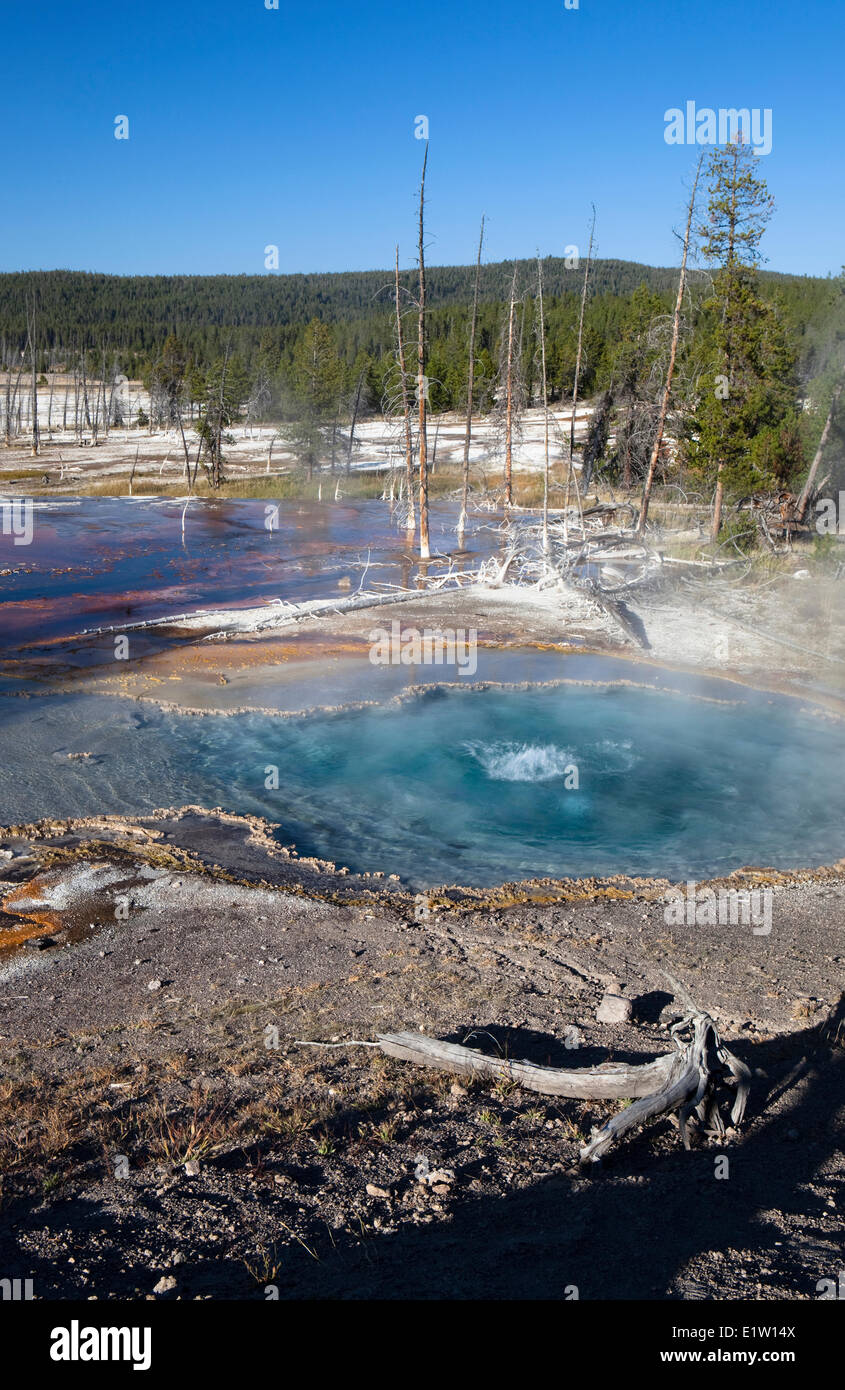 Firehole Firehole Lake Drive, printemps, le Parc National de Yellowstone, Wyoming, USA Banque D'Images