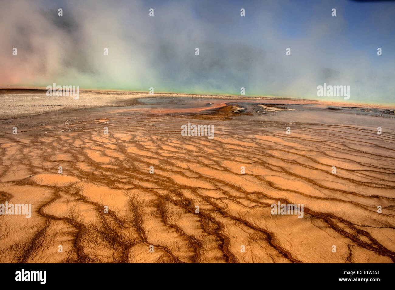 Algues thermophiles dans Grand Prismatic Spring, Midway Geyser Basin, Parc National de Yellowstone, Wyoming, USA Banque D'Images