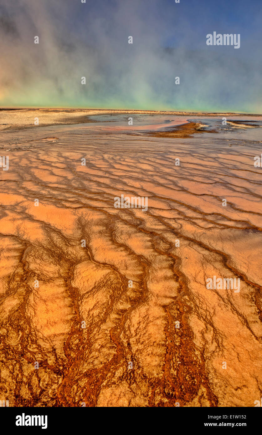Algues thermophiles dans Grand Prismatic Spring, Midway Geyser Basin, Parc National de Yellowstone, Wyoming, USA Banque D'Images