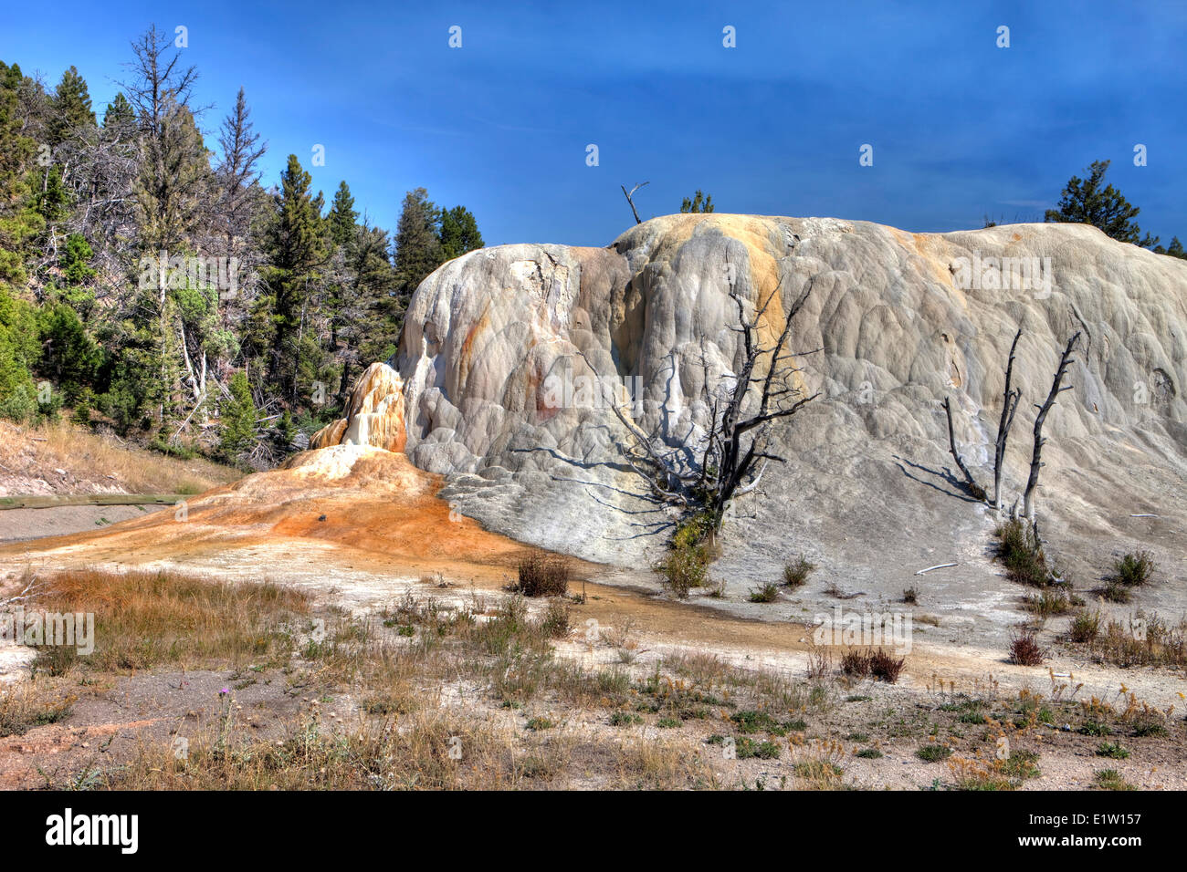 Printemps Orange Mound, Mammoth Hot Springs, Parc National de Yellowstone, Wyoming, USA Banque D'Images
