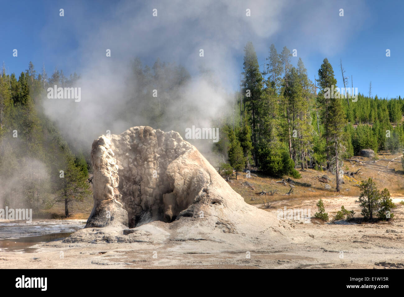 Geyser géant, Upper Geyser Basin, Parc National de Yellowstone, Wyoming, USA Banque D'Images