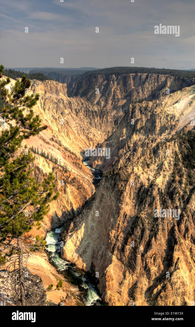 Canyon de Yellowstone, le Parc National de Yellowstone, Wyoming, USA Banque D'Images