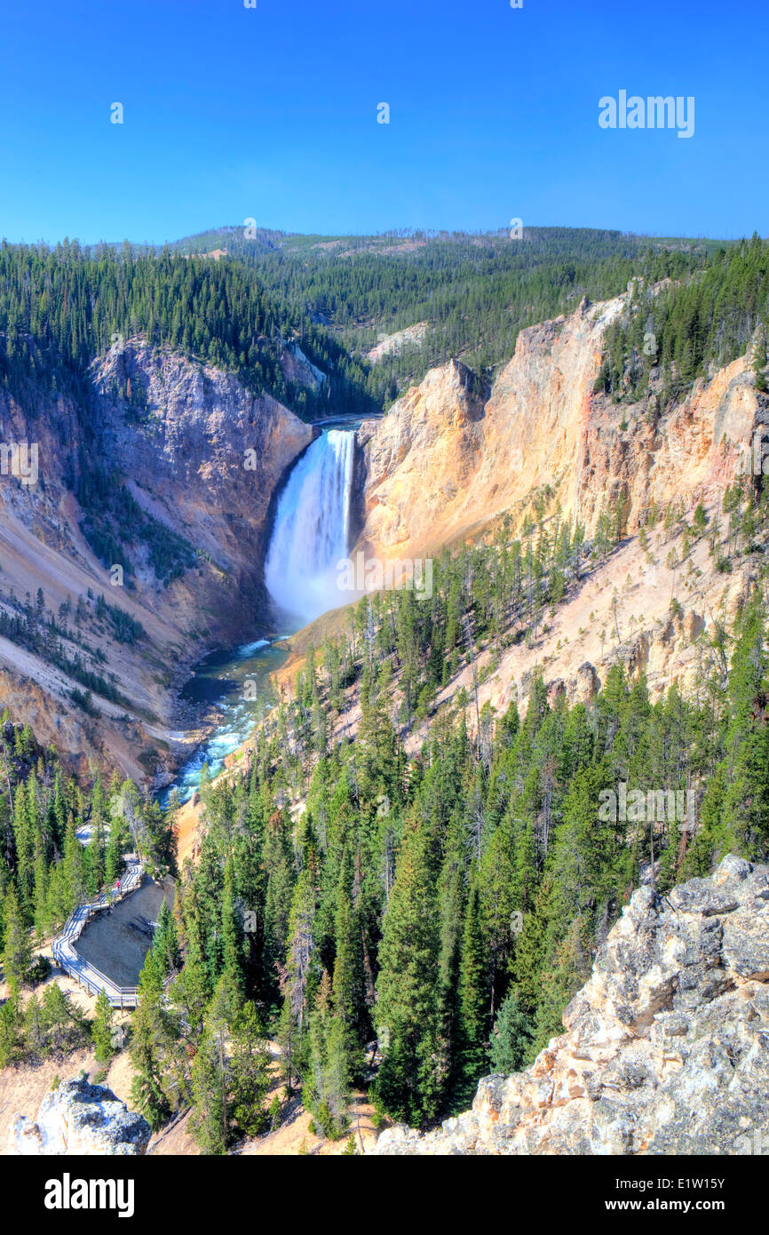Lower Falls, parc national de Yellowstone, Wyoming, USA Banque D'Images