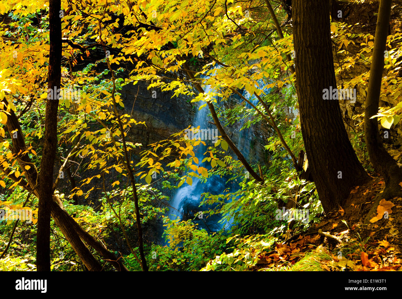Felker's Falls, Ontario Canada L'escarpement du Niagara d'automne Banque D'Images