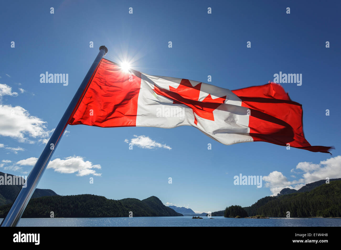 Le drapeau canadien vole de la poupe du Uchuck 111 tandis qu'elle traverse Esperanza Inlet, en Colombie-Britannique, Canada. Banque D'Images