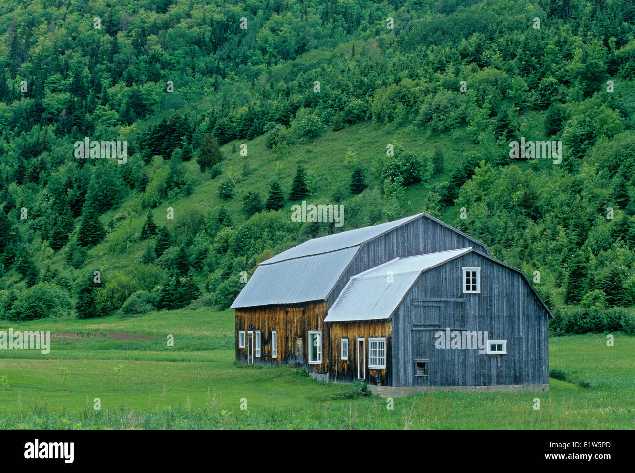 Ancienne grange en Gaspésie, Manche d'Épée, Québec, Canada Banque D'Images