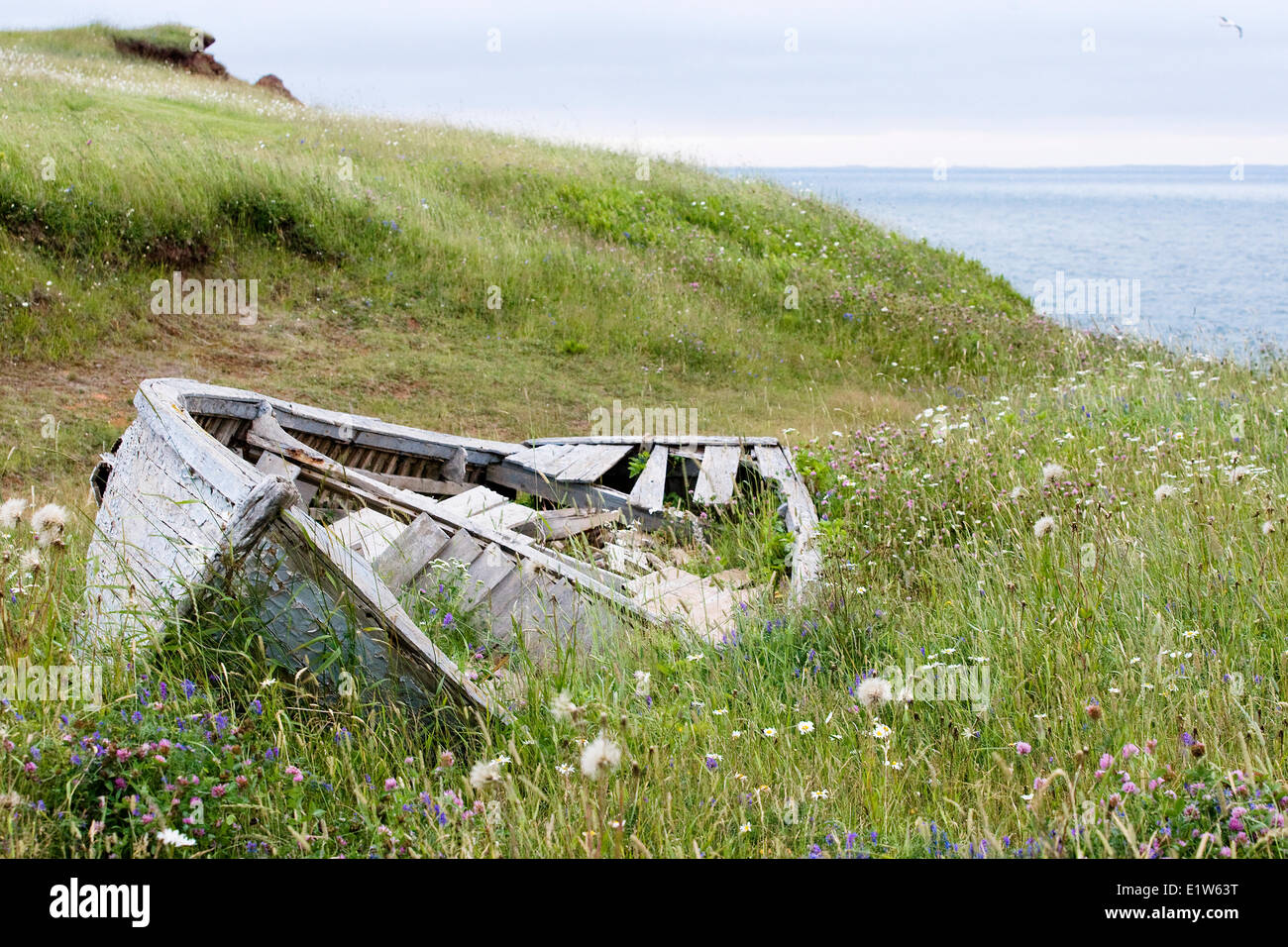 Un dory oublié sur la côte de la Grosse-Île, Îles de la Madeleine, Québec. Allen McEachern. Banque D'Images