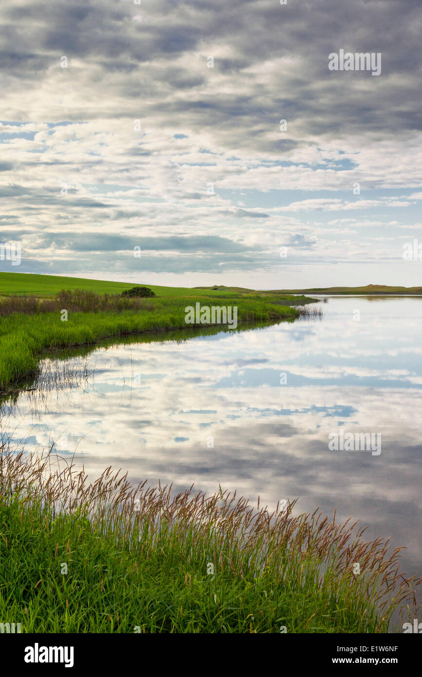 Lac d'eaux Shinning, Park, Prince Edward Island, Canada Banque D'Images