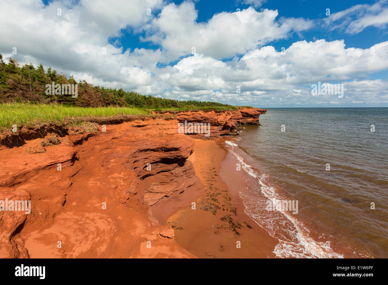 Falaises de grès rouges érodées, Kildare Capes, Prince Edward Island, Canada Banque D'Images