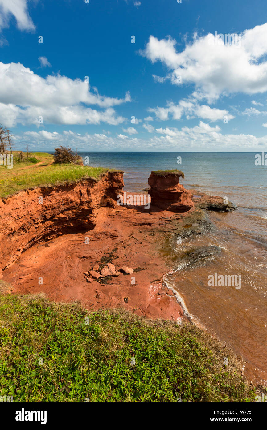 Falaises de grès rouges érodées, Kildare Capes, Prince Edward Island, Canada Banque D'Images