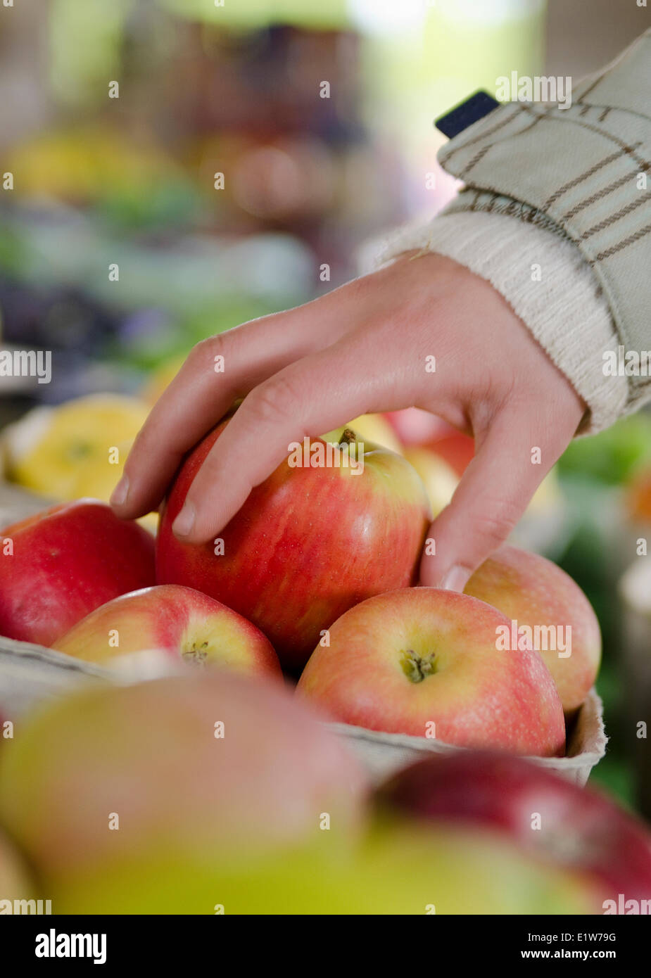 Choisir des produits frais à un stand de fruits dans Summerland dans la région de Thompson Okanagan, Colombie-Britannique, Canada Banque D'Images